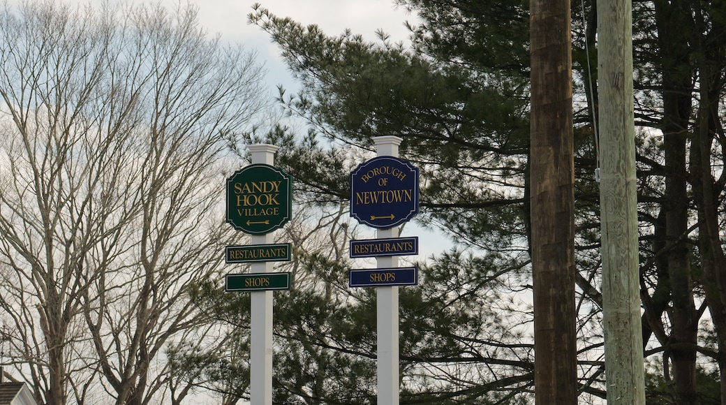 Newtown