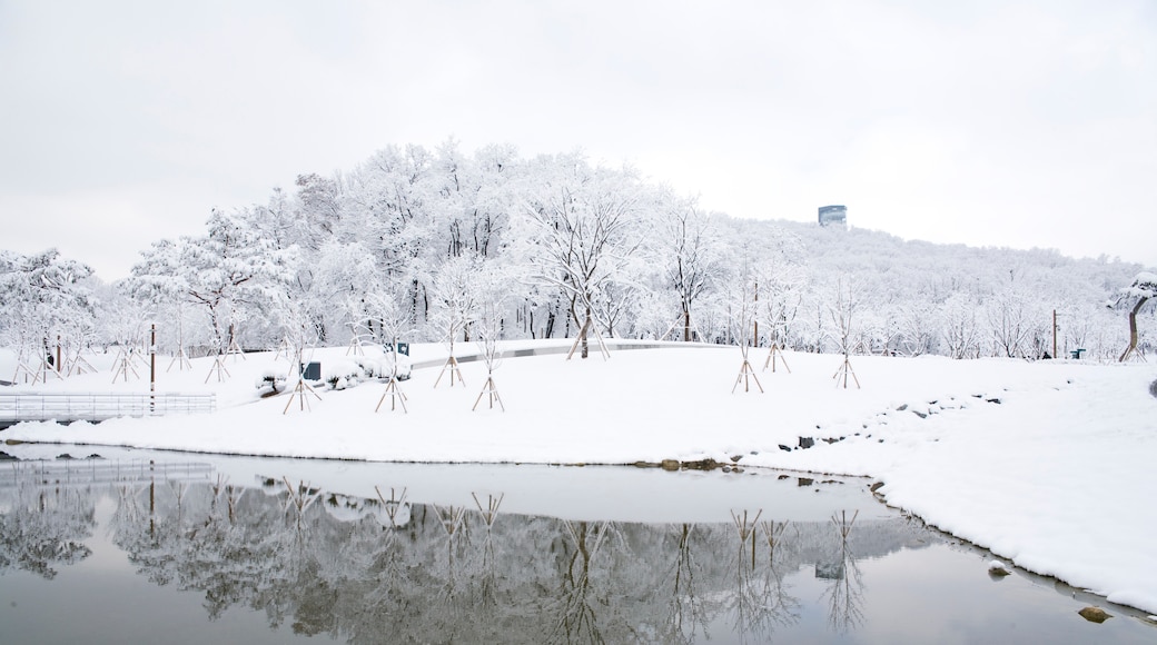 Gangbuk-gu