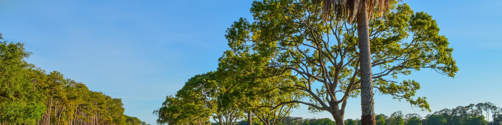 Largo, Florida, Estados Unidos