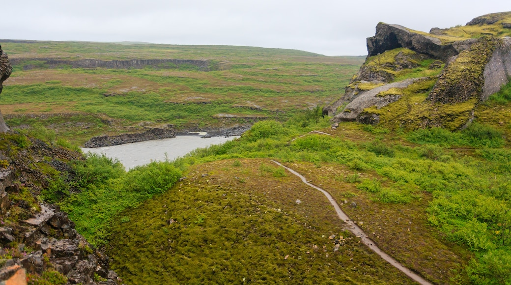 Jökulsárgljúfur Nationalpark