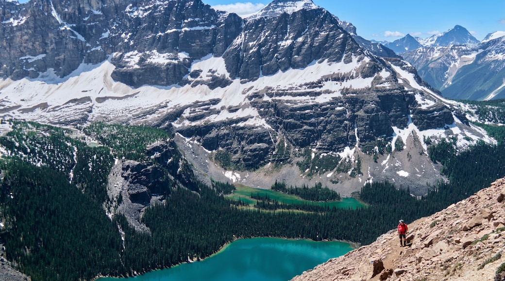 Banff Trail