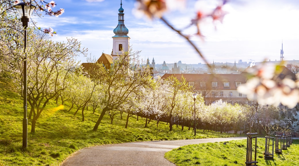 Petřín