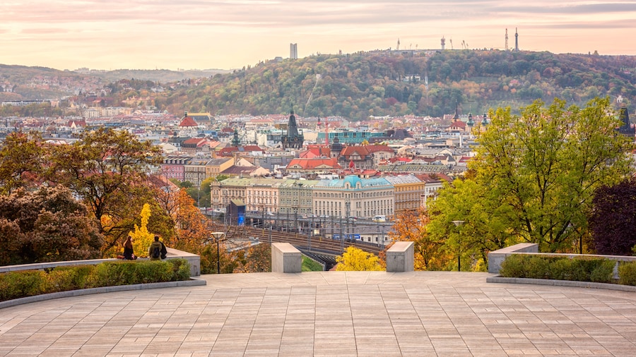 Vitkov Hill