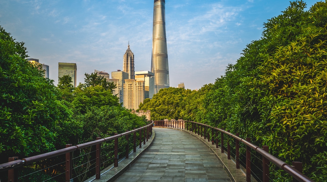 Torre de Xangai