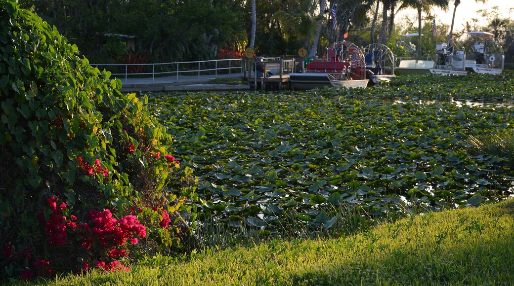 Everglades Safari Park