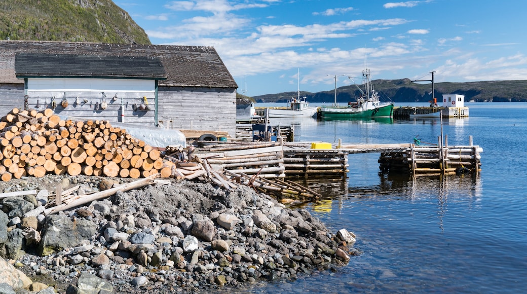 Bonne Bay