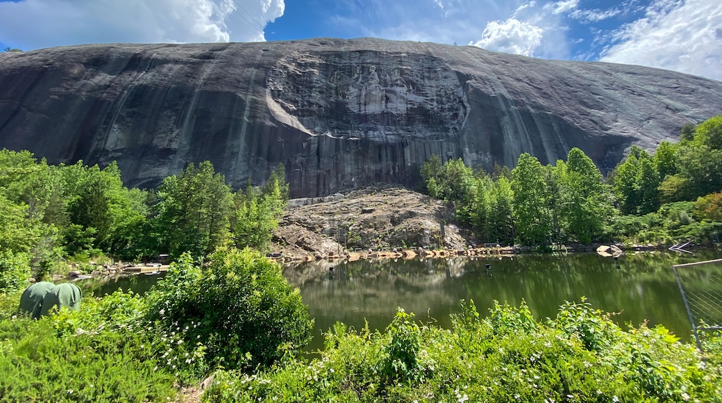 Stone Mountain