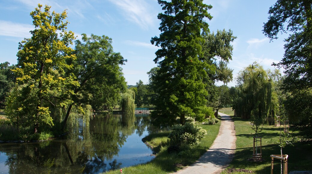 สวน Stromovka