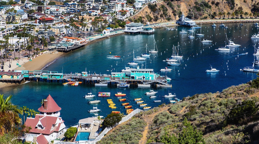 Catalina Island handelskammare och turistbyrå