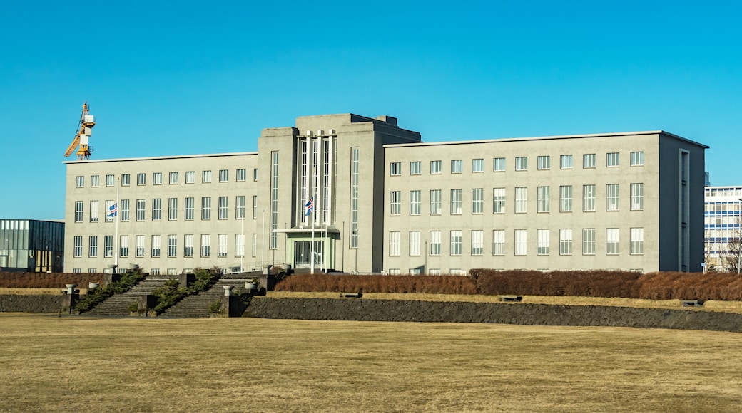Universiti Iceland, Reykjavik, Wilayah Capital, Iceland