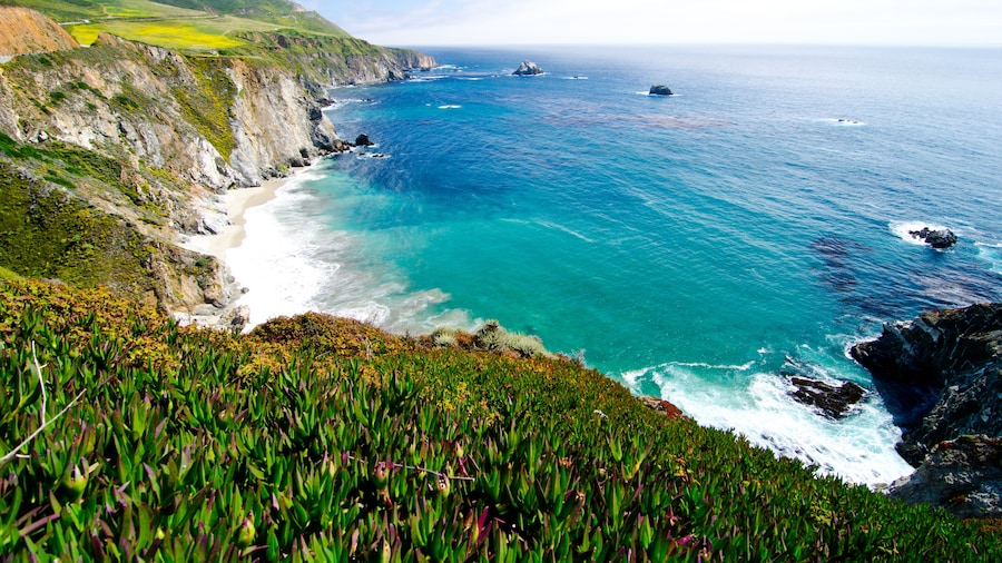 Bãi biển Bang Monterey