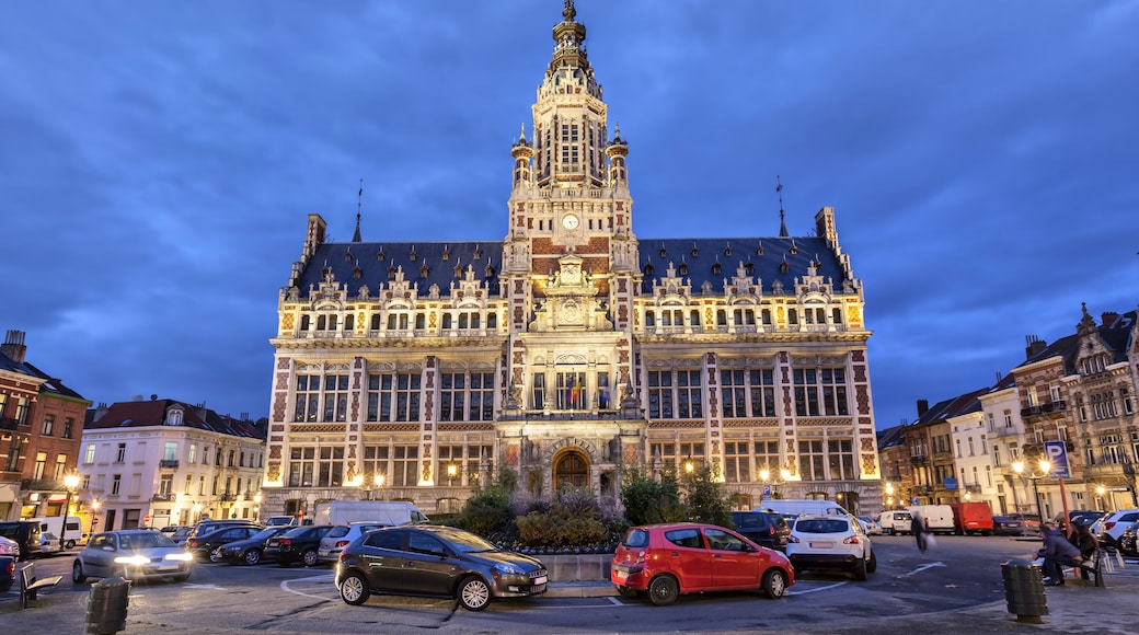 Stadhuis van Brussel (Hotel de Ville), Brussel, Brussels Hoofdstedelijk Gewest, België