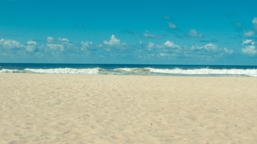Playa do Futuro