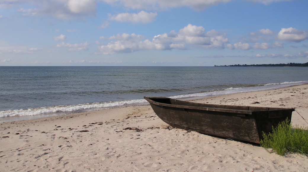 Mossbystrand Beach