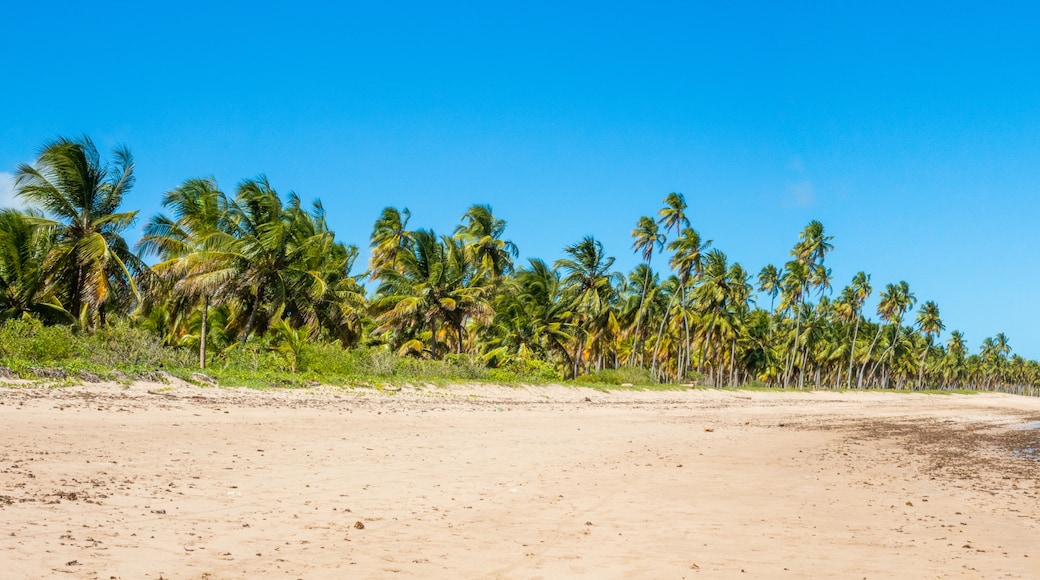 Lages strand