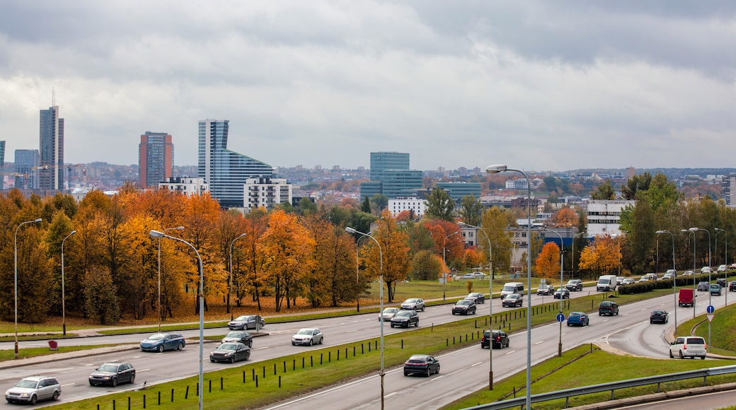 Vilnius Central Business District