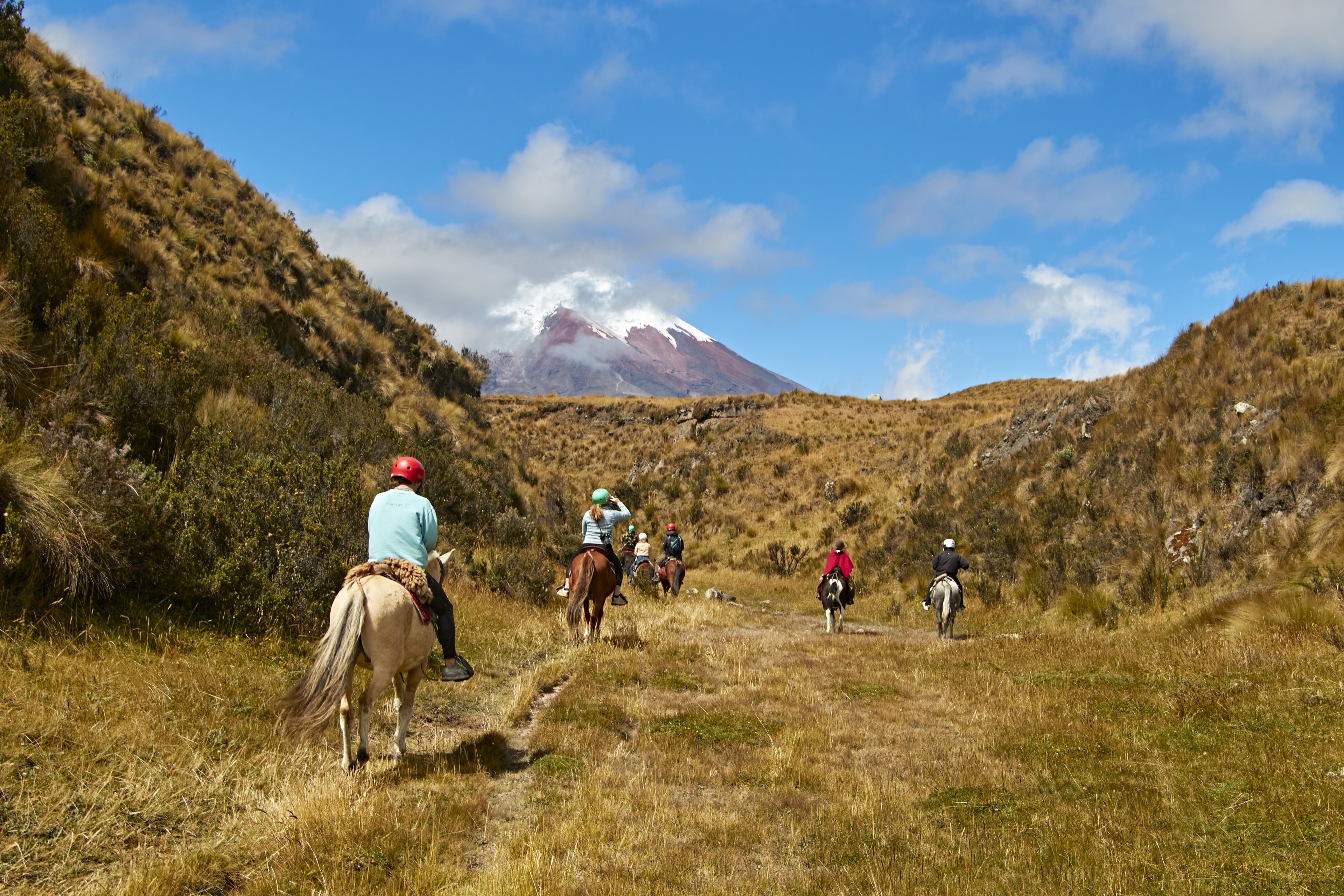 cotopaxi national park