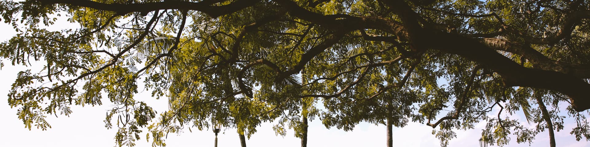 Sans Souci ströndin, Honolulu, Havaí, Bandaríkin