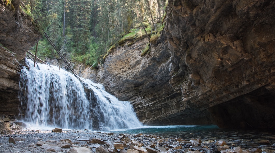 Banff Trail