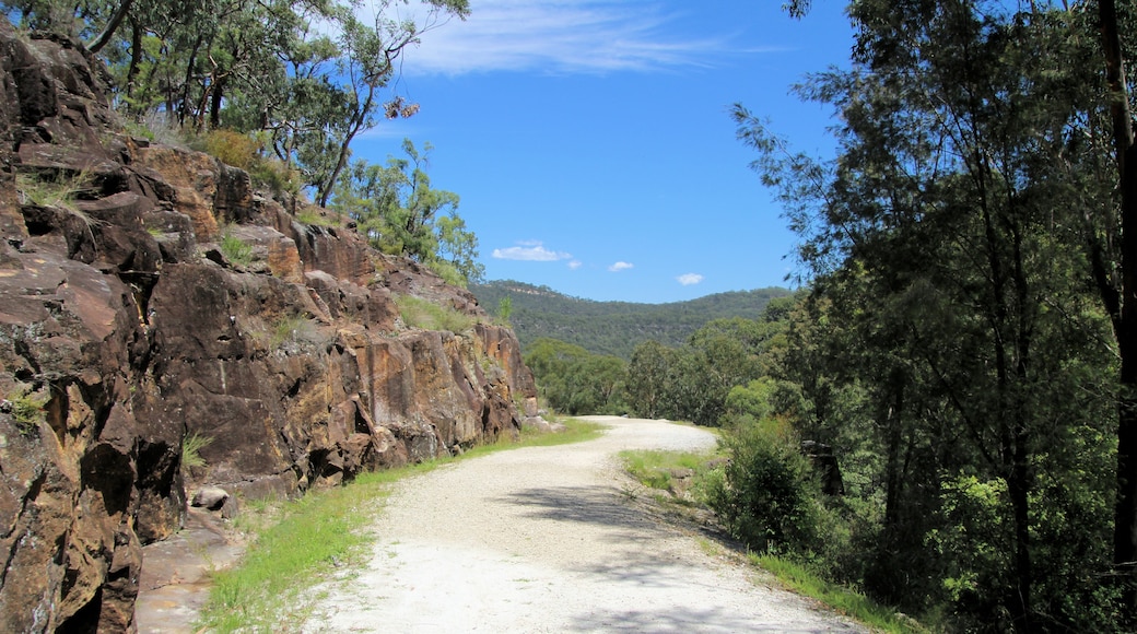 Wisemans Ferry