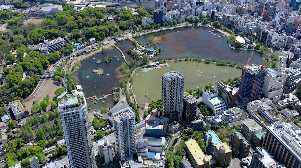 上野动物园