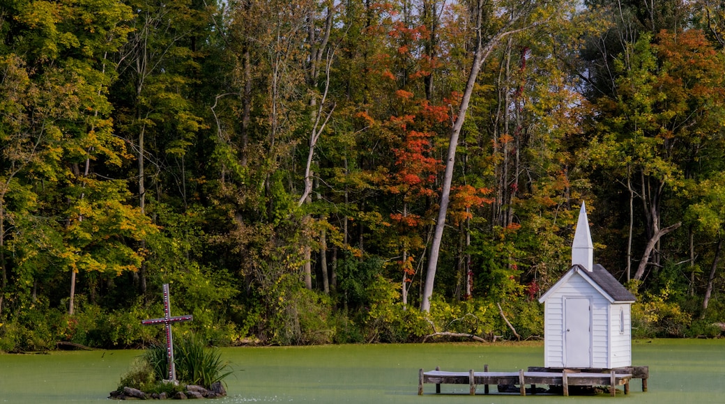 Oneida Lake