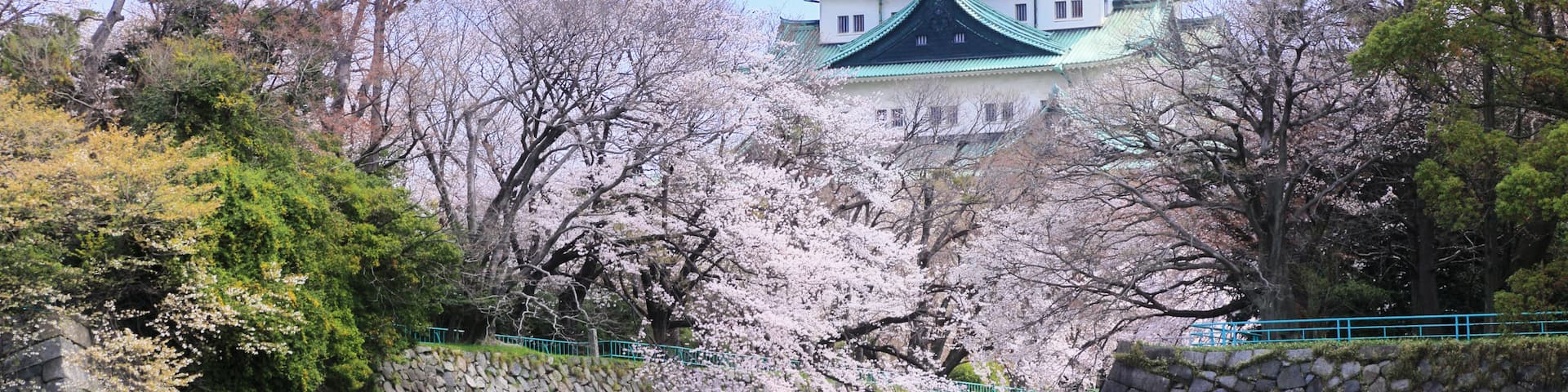 爱知, 日本
