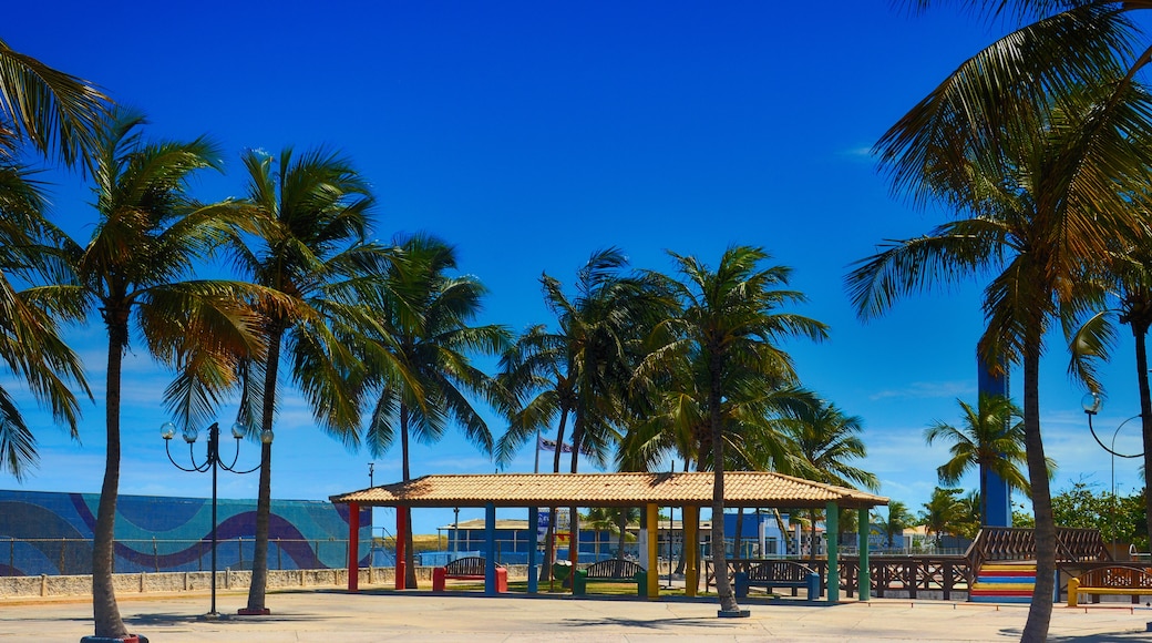 Aracaju