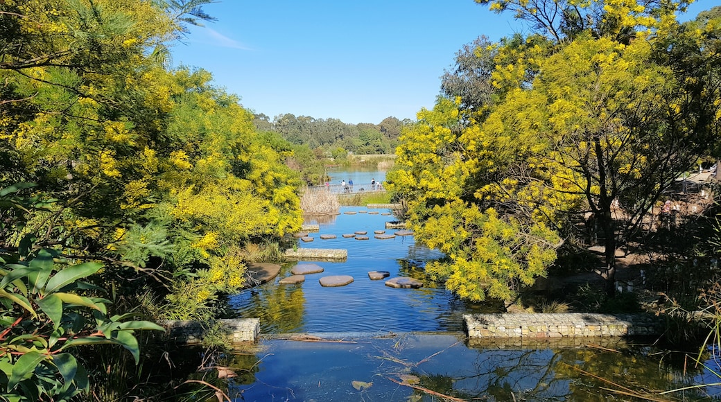 Inner West Council