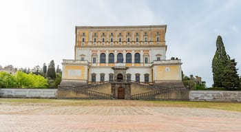 Default Image