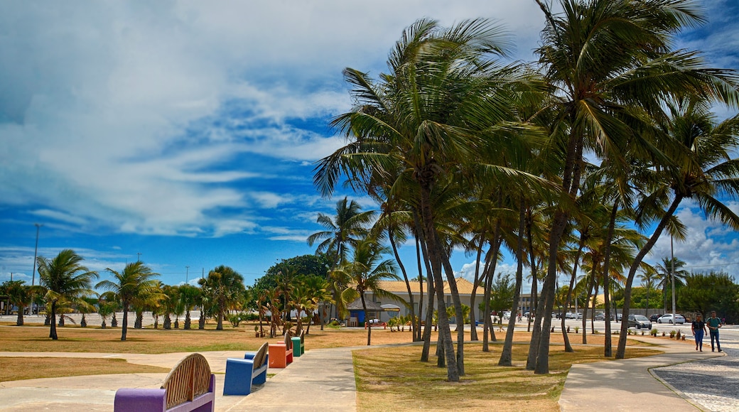 Aracaju