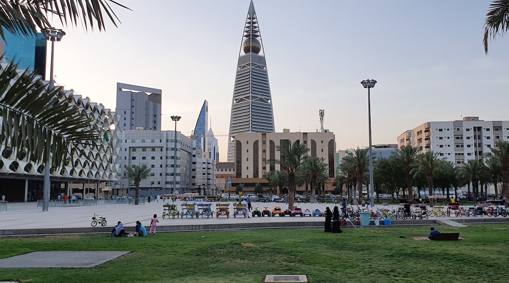 Al Olaya District