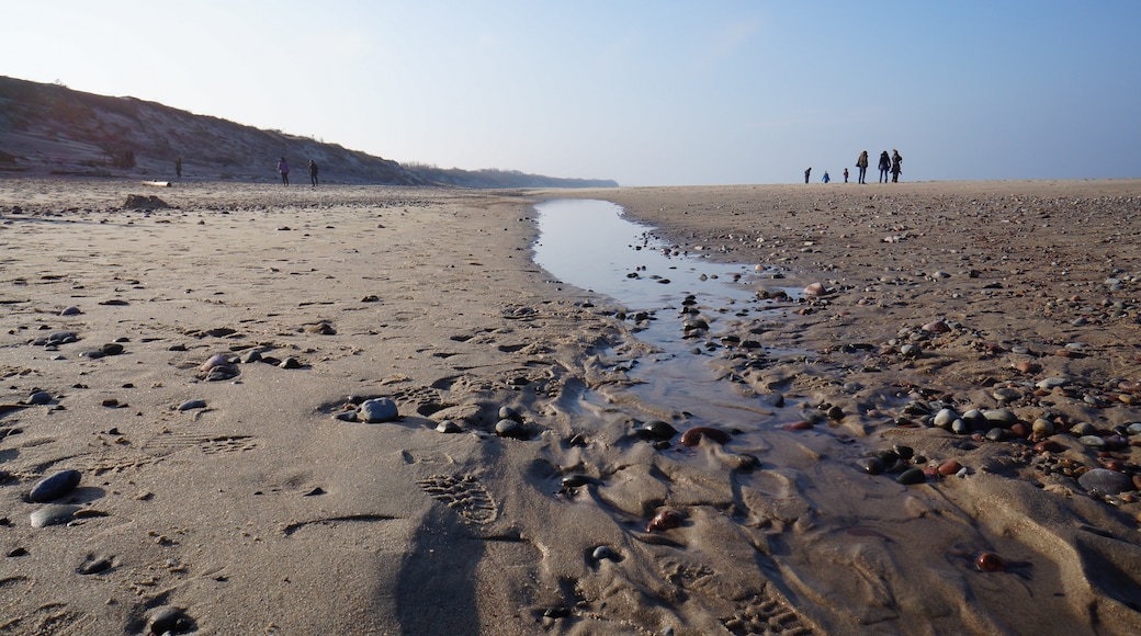 Curonian Spit