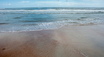 Ormond Shores, Ormond Beach, Flórída, Bandaríkin