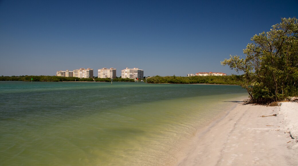 Laguna Shores