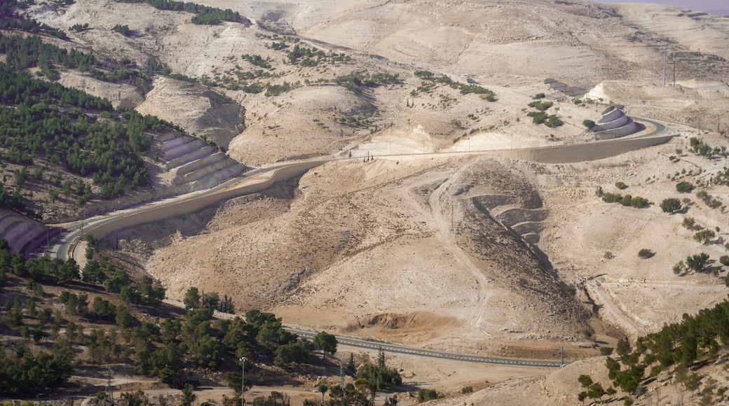 Palestinian Territories