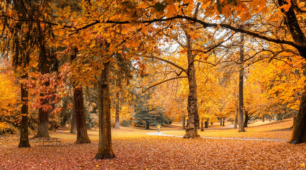 Laurelhurst Park