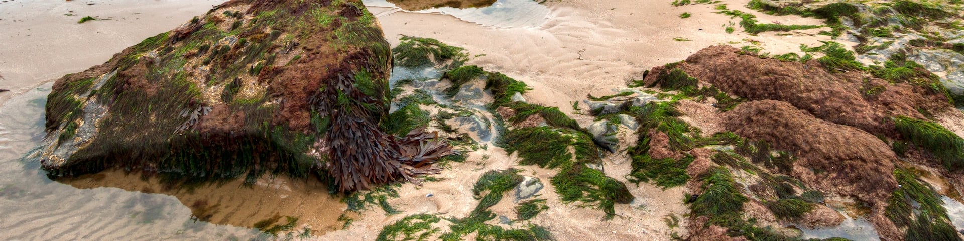 Malahide Beach, Malahide, Ireland