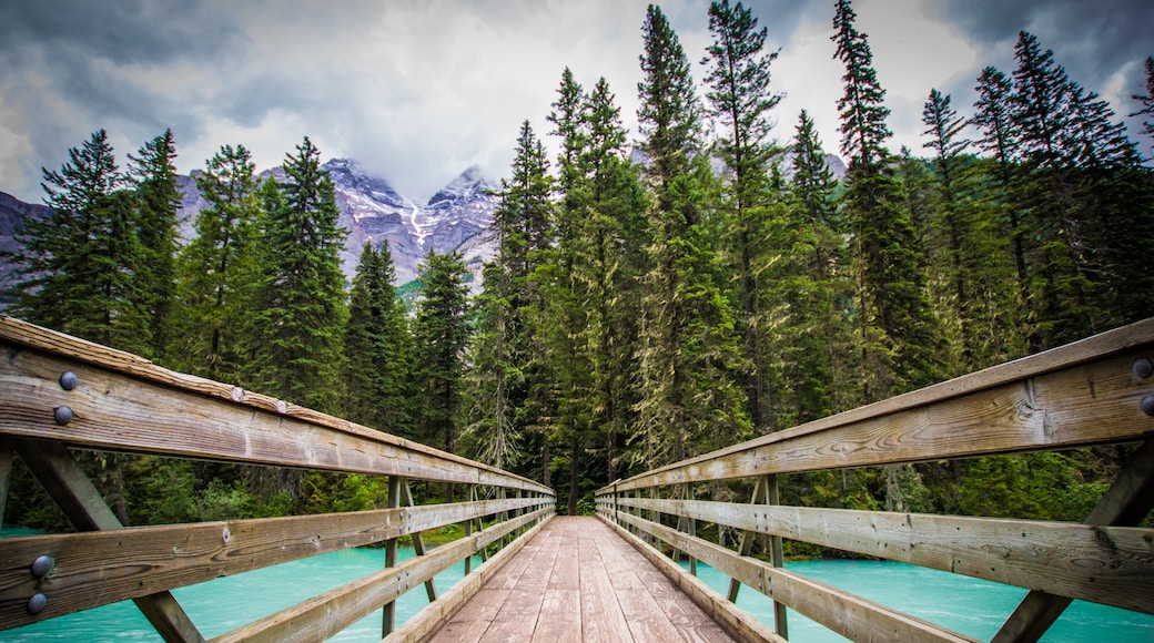 Banff Trail