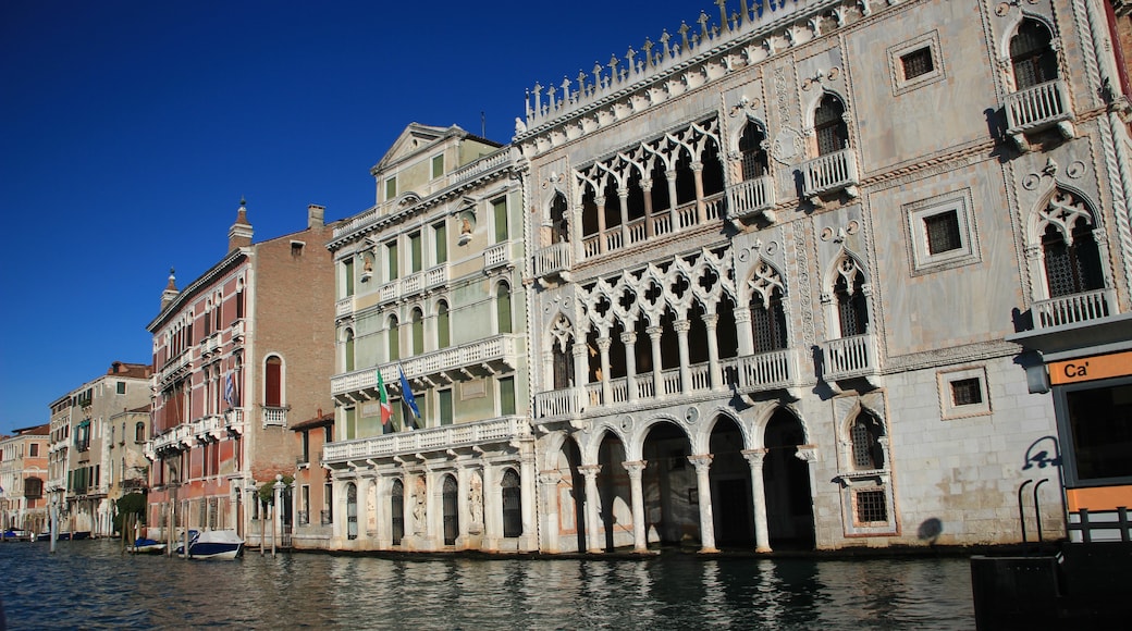 Galleria Giorgio Franchetti alla Ca' d'Oro