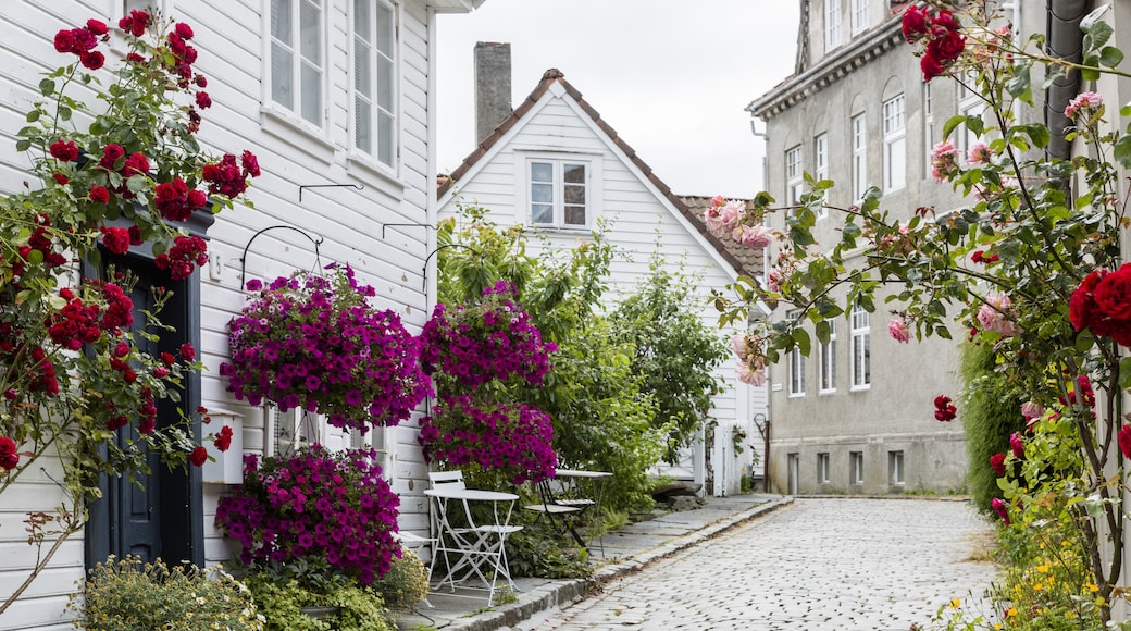 Centro storico di Stavanger