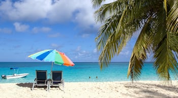 Palm Cay, Nassau, Pulau New Providence, Bahamas