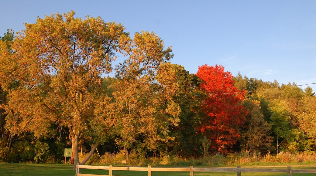 Halton Hills