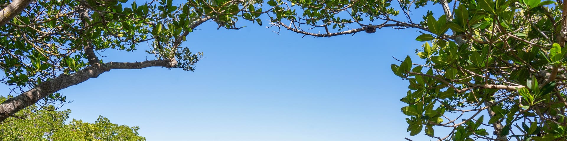 Ruskin, Flórida, Estados Unidos