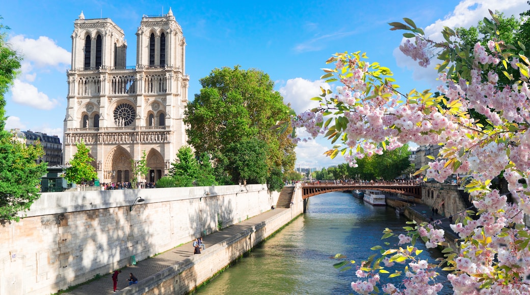 Top Hotels Closest To Notre Dame From 70 Hotels top-hotels-closest-to-notre-dame-from-70-hotels