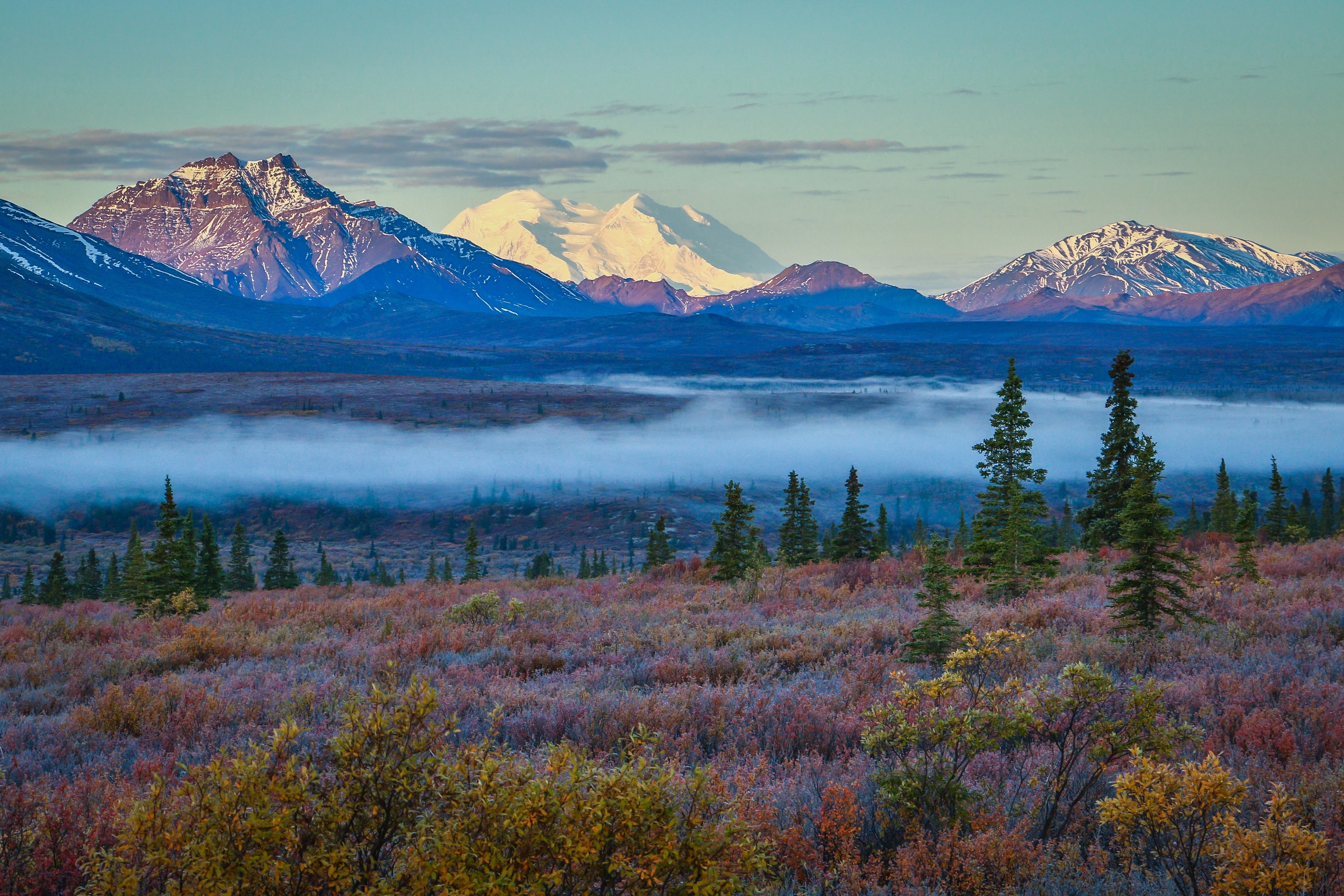 Denali National Park Visitors Center Tours - Book Now | Expedia