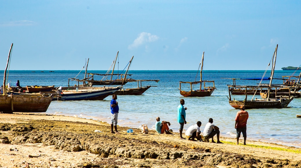 Zanzibar, Tanzanie