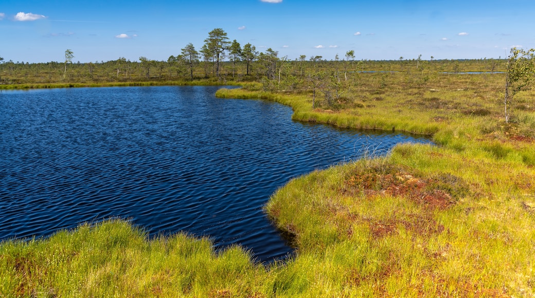 Parc national de Soomaa