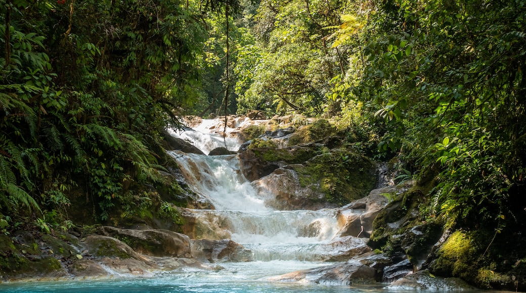 Alajuela