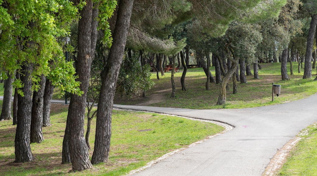 Parque da Bela Vista